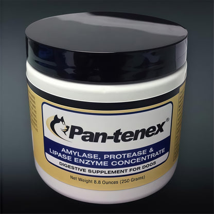 Pancreatic Enzyme Concentrate