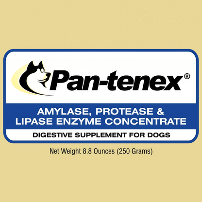 Pancreatic Enzyme Concentrate
